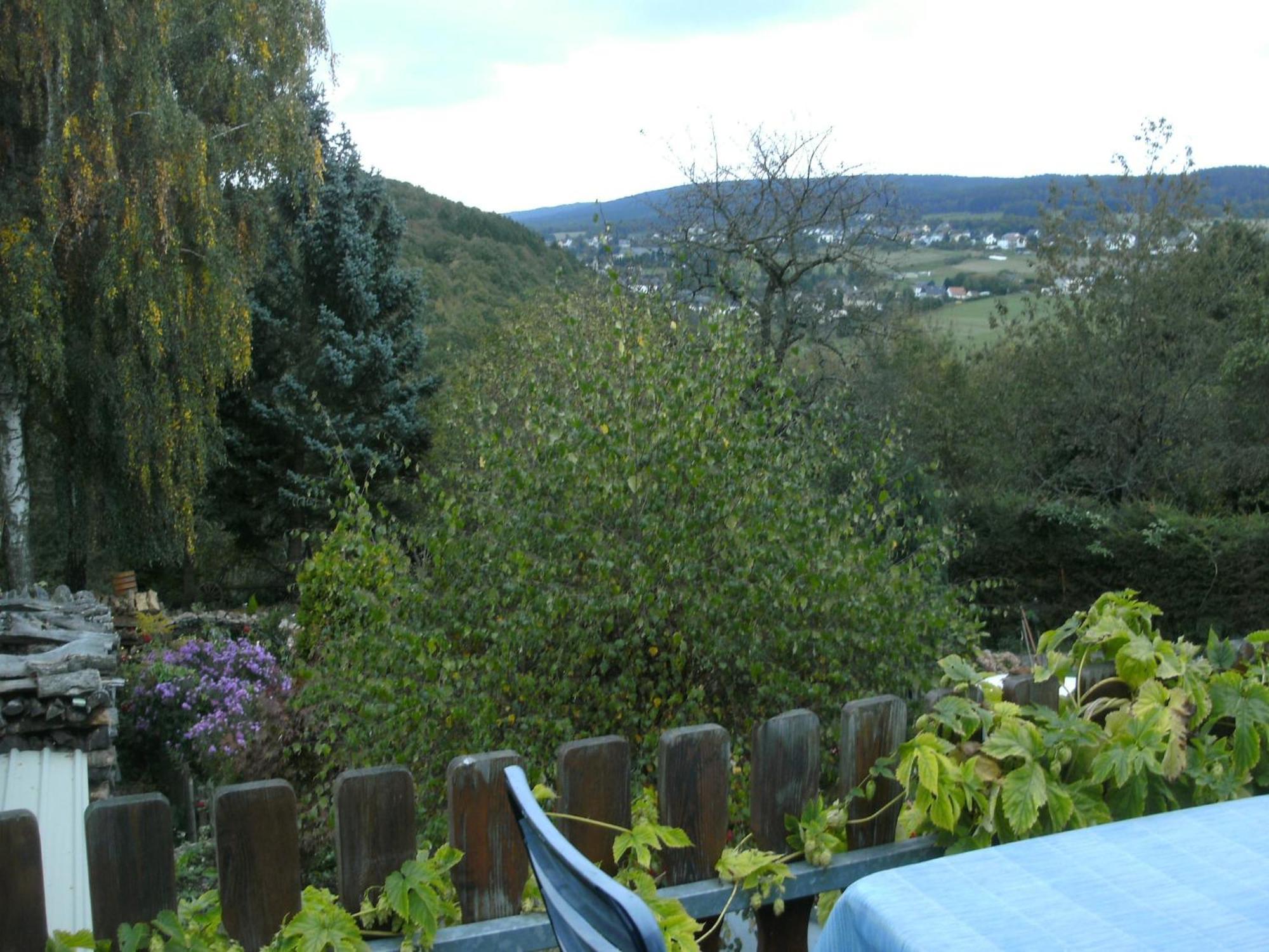 Charming Apartment In Morbach Germany With Terrace Thalfang المظهر الخارجي الصورة