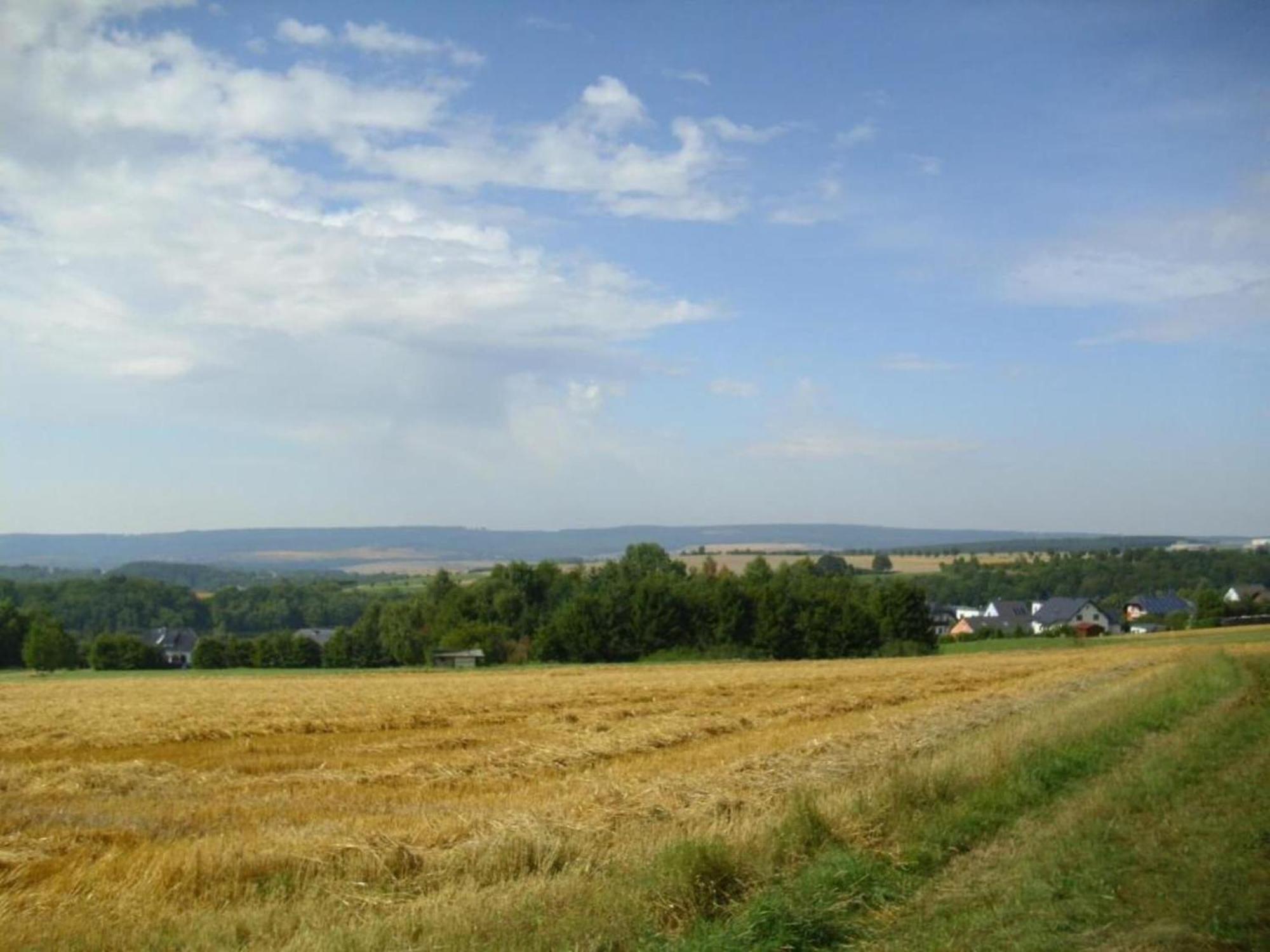 Charming Apartment In Morbach Germany With Terrace Thalfang المظهر الخارجي الصورة